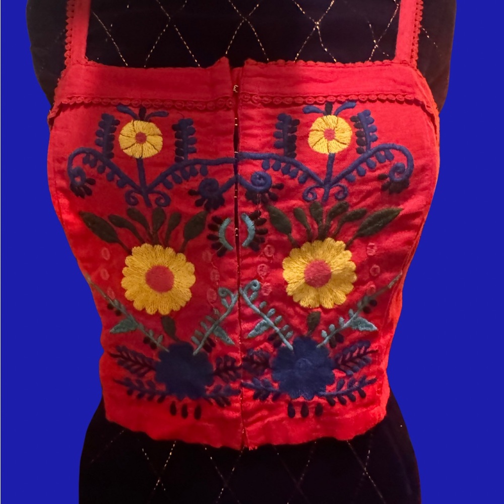 Charming Embroidered Red Crop Top